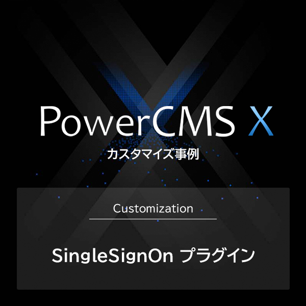 イメージ画像 SingleSignOn プラグインカスタマイズ事例の記事を読む