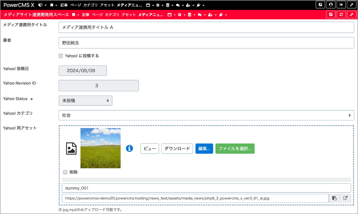 メディア連携用の記事投稿画面2